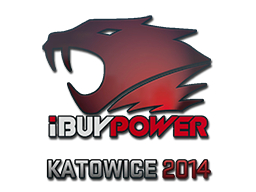 Бумажный стикер iBUYPOWER Katowice 2014 в CS2